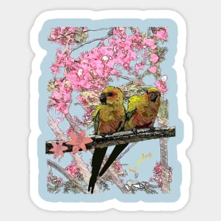 Aves Sticker